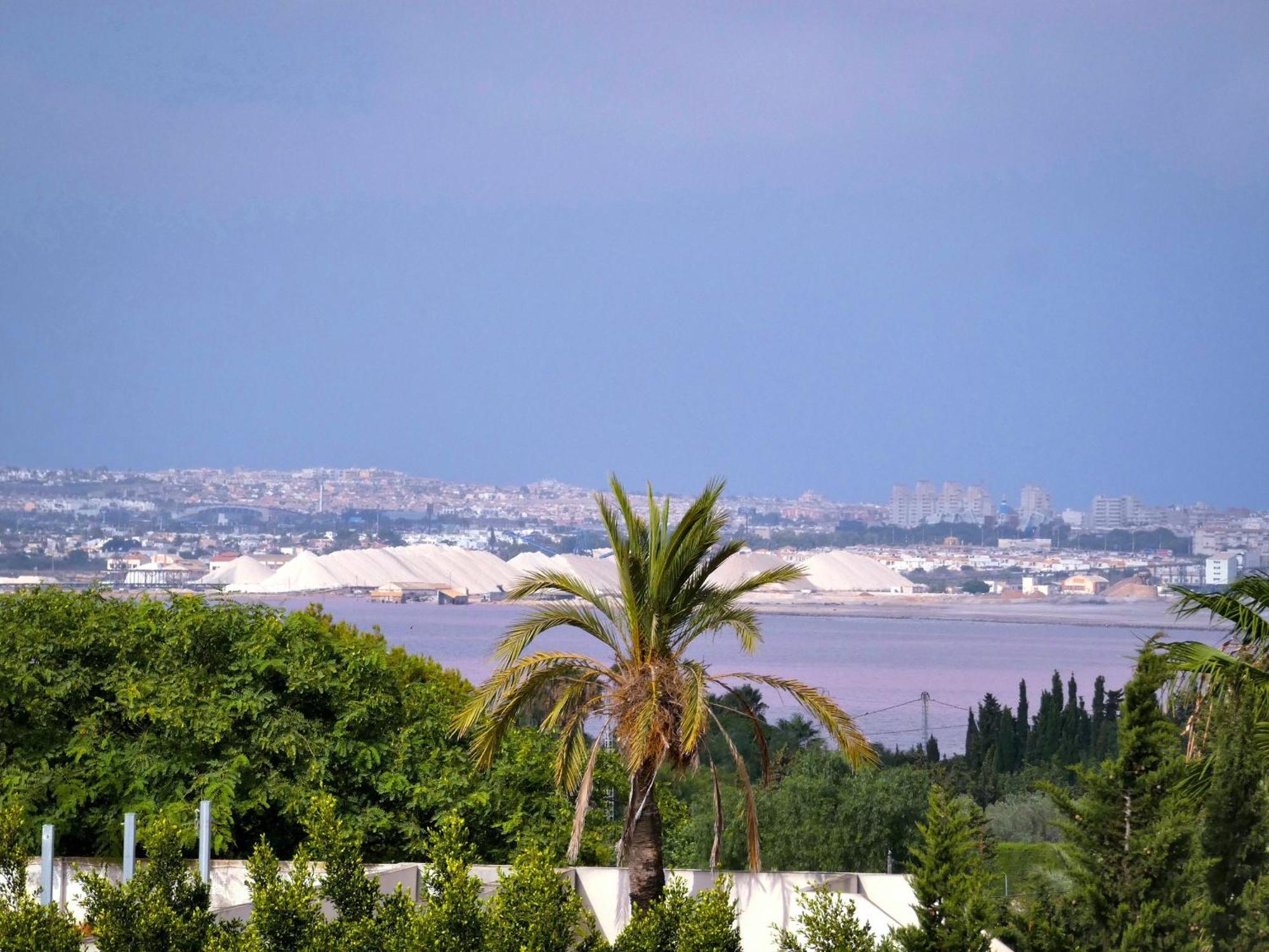 Lagovista45 Torrevieja Kültér fotó