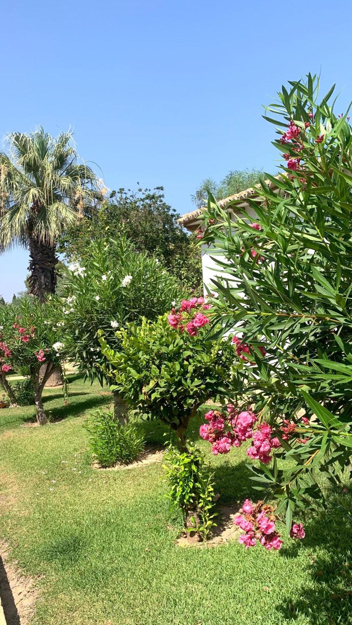 Lagovista45 Torrevieja Kültér fotó
