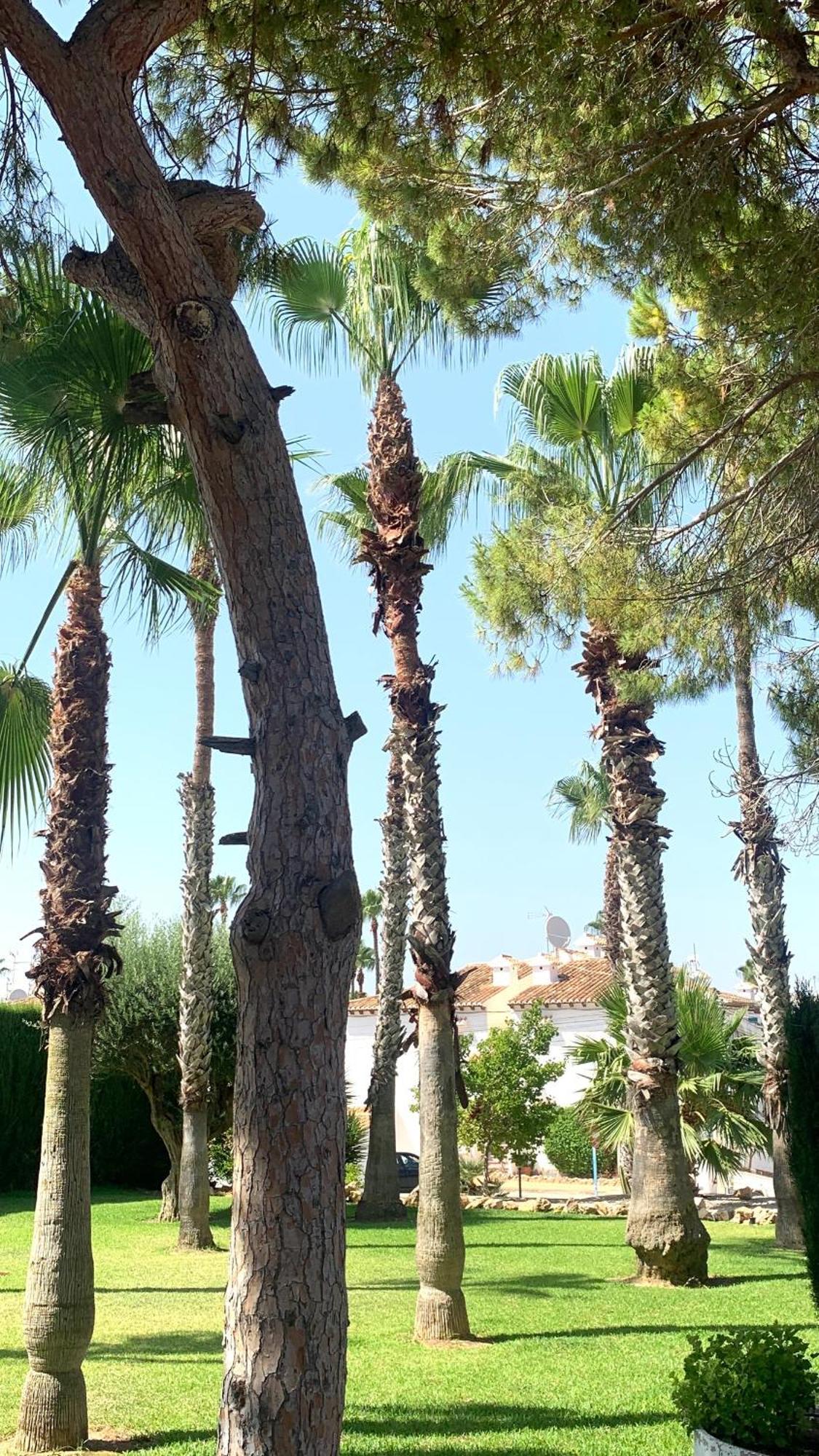 Lagovista45 Torrevieja Kültér fotó